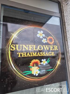 🌻🌻SUN-FLOWER 🌻🌻